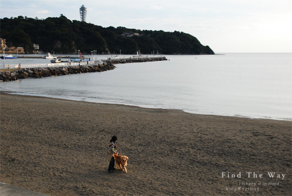 【犬的散歩日和】神奈川・湘南　1／3_f0054594_03135977.jpg