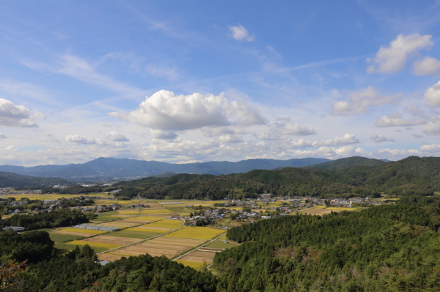 d0354901_17504591.jpg
