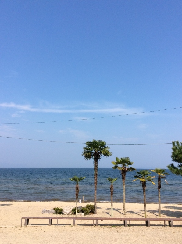 b0220002_16200792.jpeg