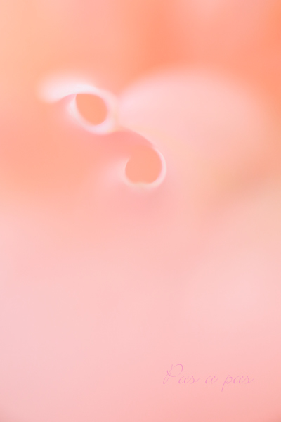 e0308105_21193721.jpg