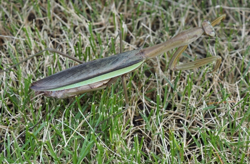 e0350905_20272942.jpg