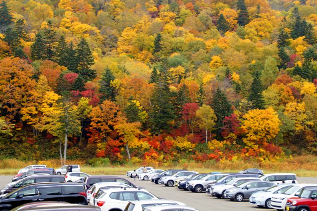 a0345007_15115643.jpg
