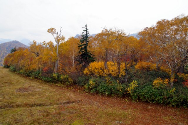 a0345007_15125621.jpg
