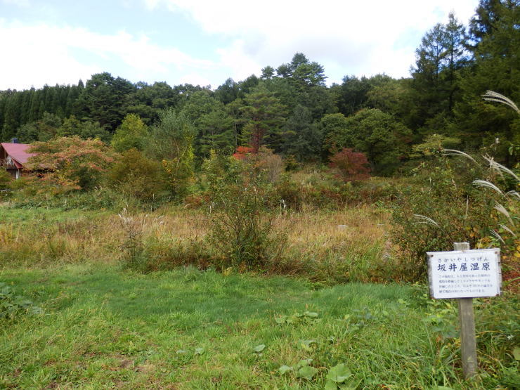 f0219710_19480812.jpg