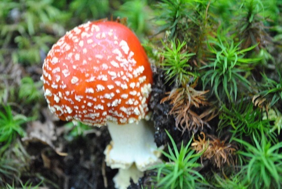 f0000521_11222452.jpg