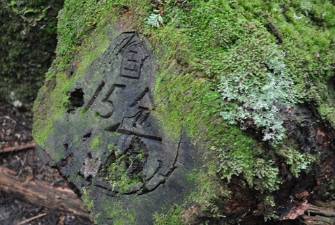 黒戸尾根で甲斐駒ヶ岳（そのニ）２０１７・１０・１２_f0000521_11235254.jpg