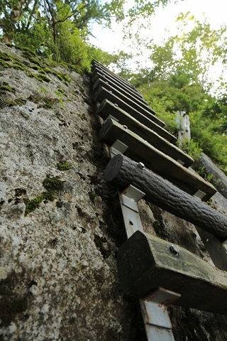f0000521_11331234.jpg