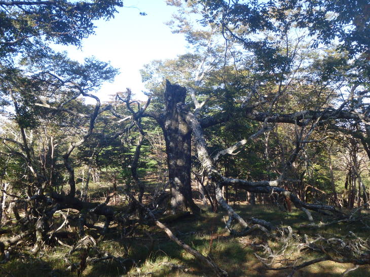 f0193521_4345376.jpg
