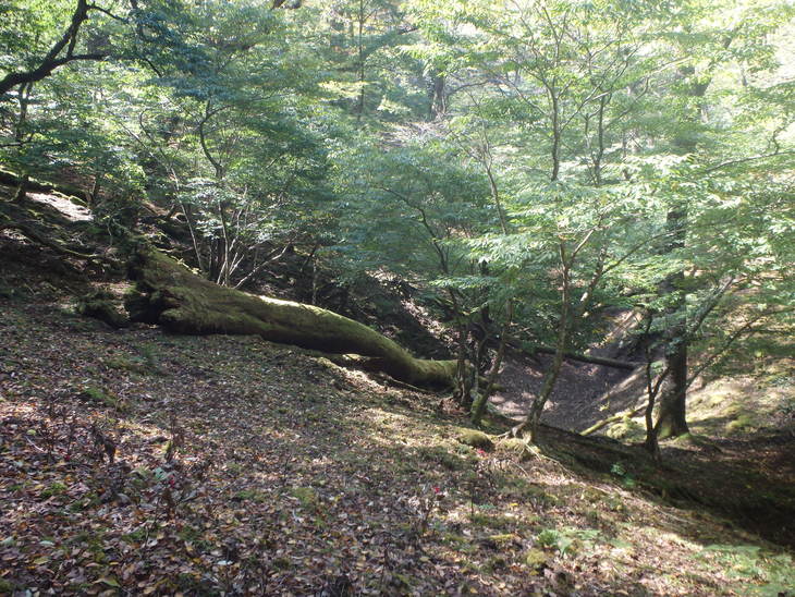 f0193521_922599.jpg