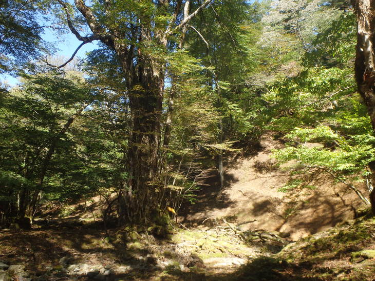 f0193521_9245128.jpg