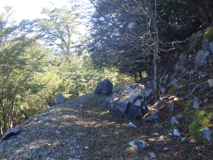 f0193521_9452910.jpg