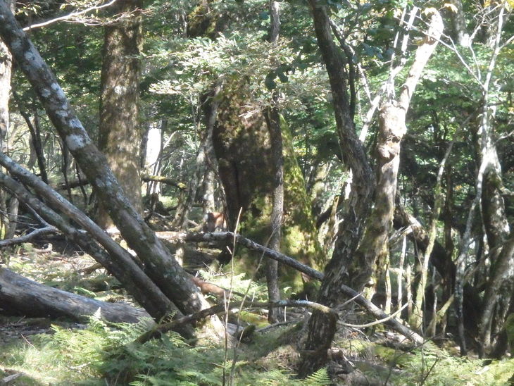 f0193521_9564473.jpg