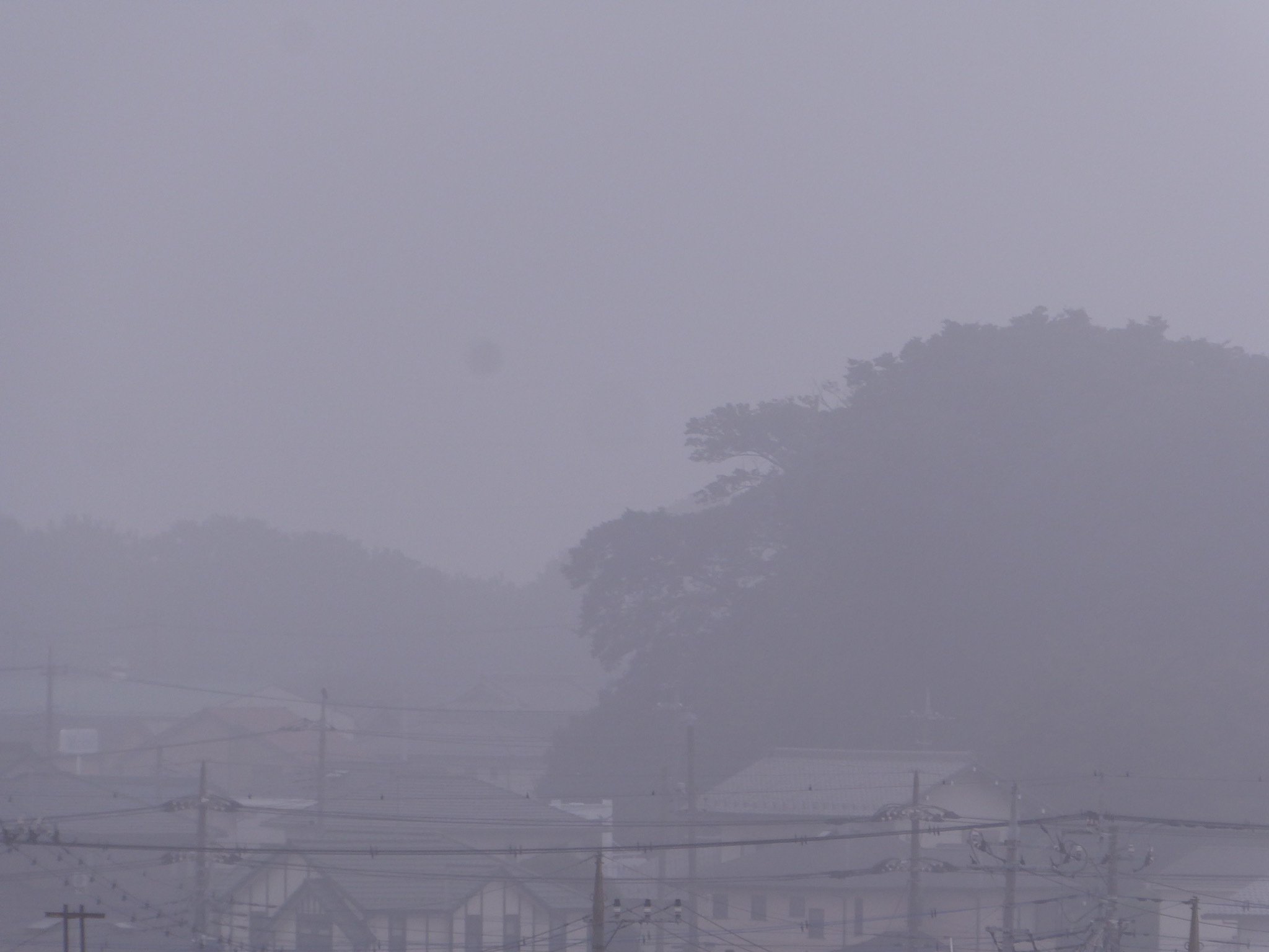 濃霧に出鼻をくじかれて_a0050728_10030077.jpeg