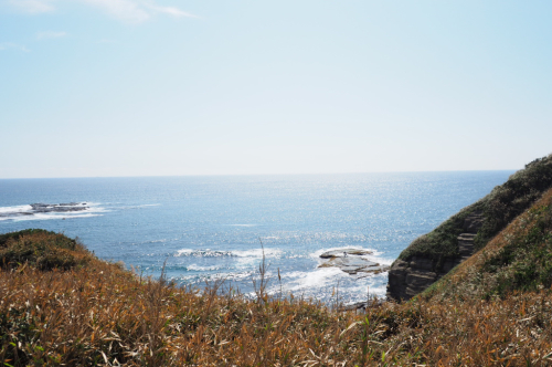 a0323131_12332247.jpg