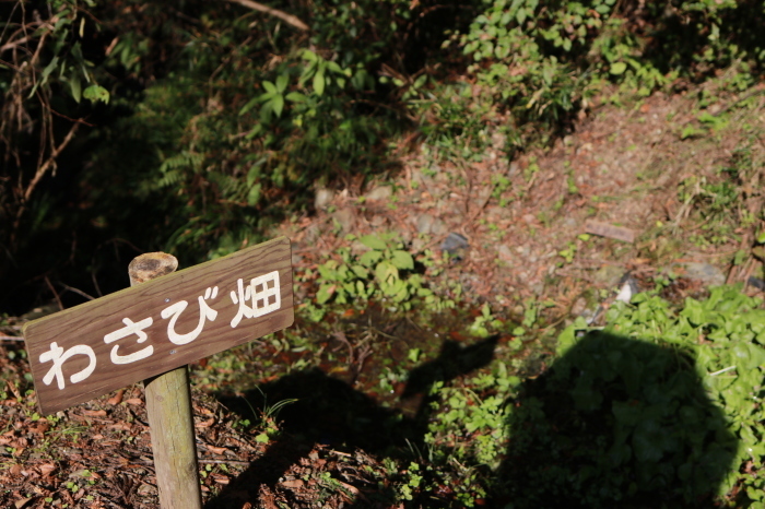f0348831_20372049.jpg