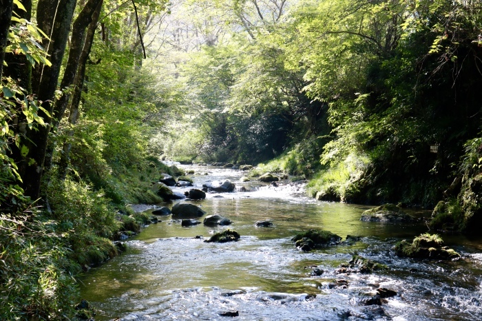 f0348831_20372283.jpg
