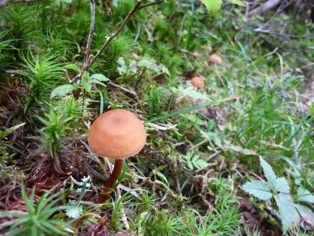 b0298935_18382924.jpg