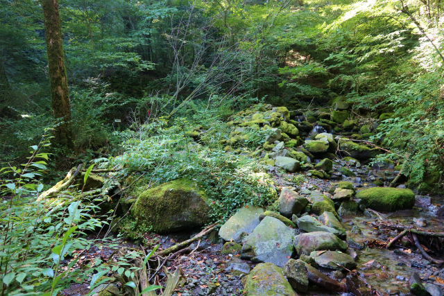 e0272335_10395120.jpg