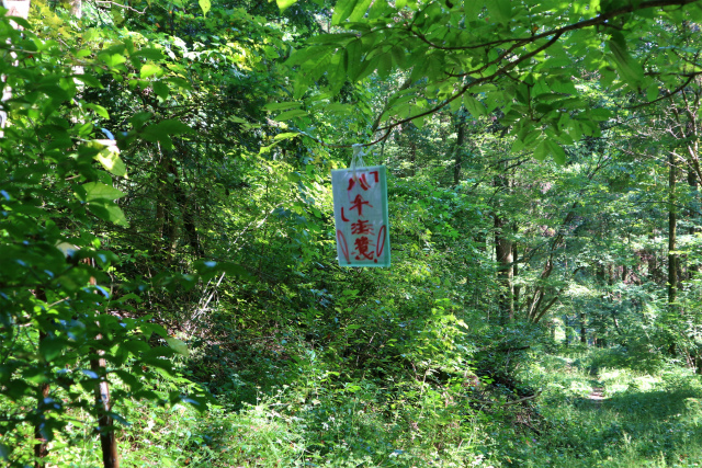 e0272335_10435727.jpg