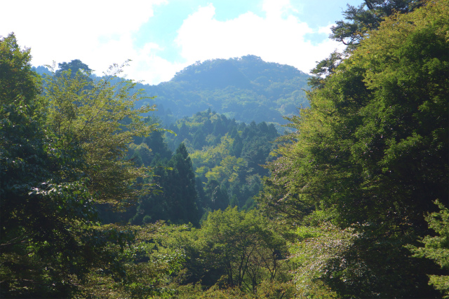 e0272335_10472575.jpg