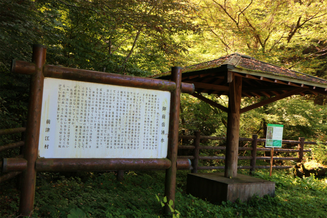 e0272335_5255050.jpg