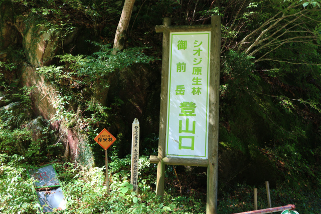 e0272335_5312975.jpg