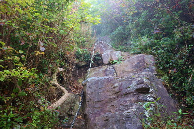 e0272335_856813.jpg
