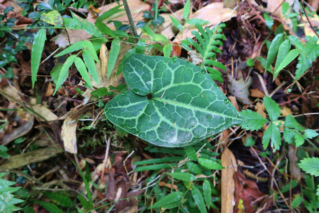 e0272335_9162512.jpg