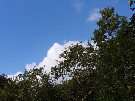 a0123836_11263226.jpg
