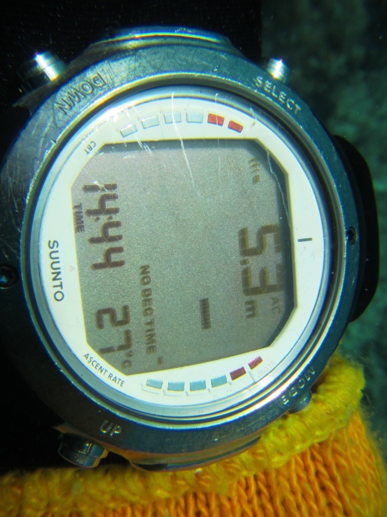 クマドリ…_a0189838_10485413.jpg