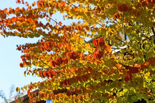 a0242438_21301987.jpg