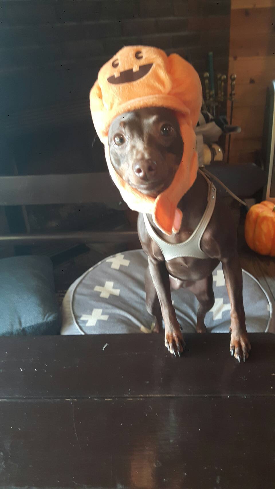 b0369239_15190749.jpeg