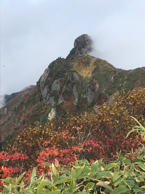 紅葉_f0207955_14412706.jpeg