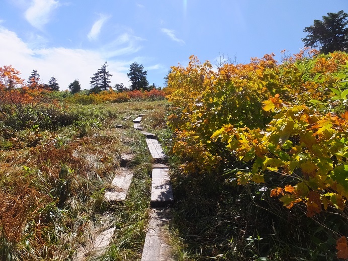 会津駒ケ岳3　駒ケ岳山頂～中門岳_b0276758_15312089.jpg