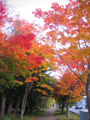 軽井沢の紅葉速報17 10月10日 11日のプリンス通り ぴきょログ 軽井沢でぐーたら生活