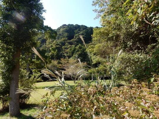 ’17,10,11(水)散歩で215段の階段上ったYO!_f0060461_09523837.jpg