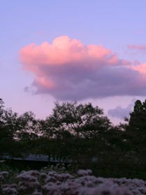 b0160363_00121473.jpg
