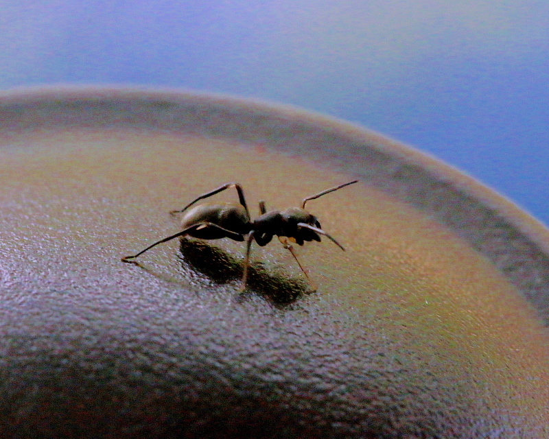c0305565_17521447.jpg