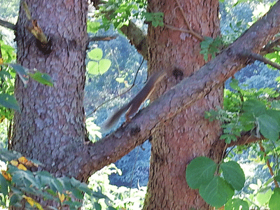 f0140773_16044161.gif