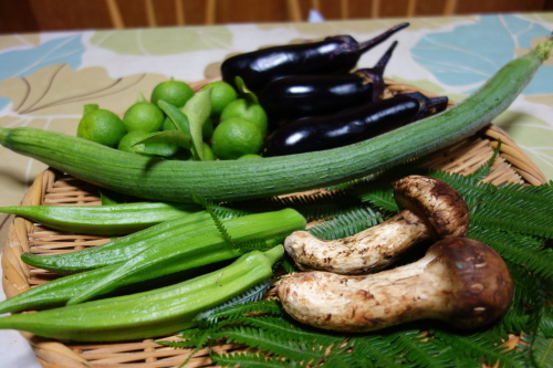 Fresh vegetables from my friend 手作り野菜のプレゼント_b0245877_23362669.jpg