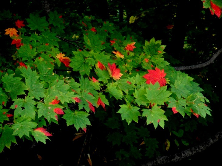 a0250179_08190983.jpg