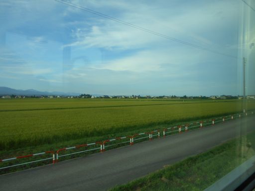 真夏の北日本海鉄道　完結編　（北陸３セク３鉄道／北陸本線／阪九フェリー／ほか）_b0005281_21454202.jpg