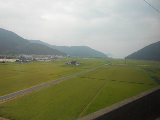 真夏の北日本海鉄道 完結編 (北陸3セク3鉄道/北陸本線/阪九フェリー/ほか)_b0005281_22084049.jpg