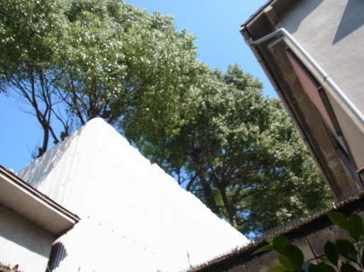 f0125588_20425068.jpg