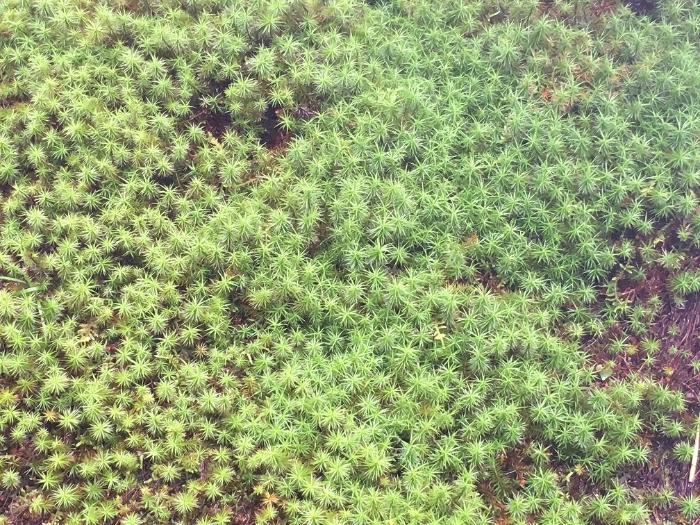 f0370494_00370095.jpg