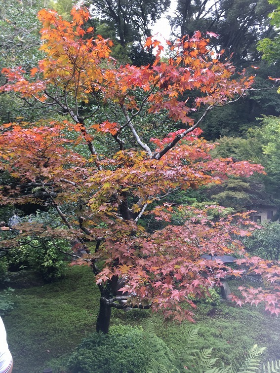 f0370494_00370101.jpg