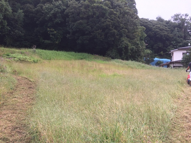 e0270198_1642436.jpg