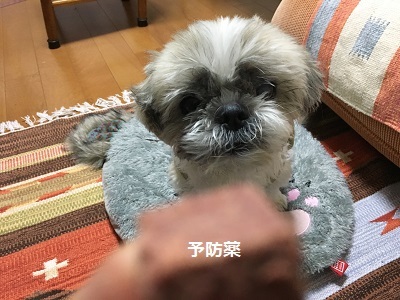 f0372998_21163406.jpg