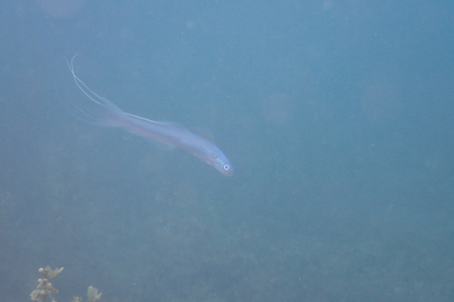 e0115199_18274316.jpg
