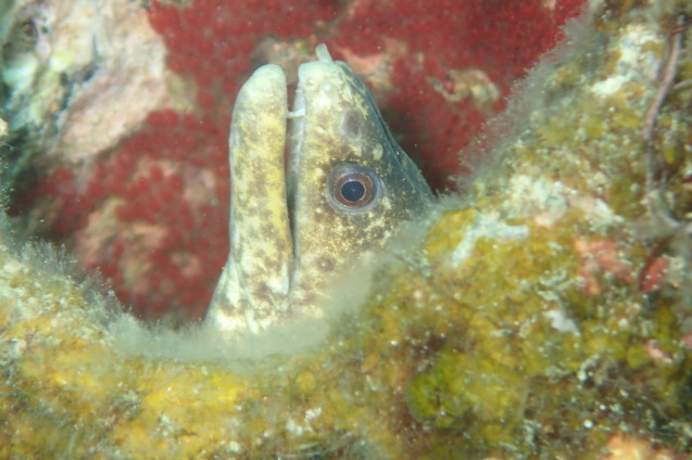 e0115199_18281490.jpg